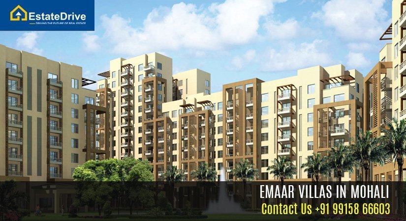  Emaar Villas in Mohali