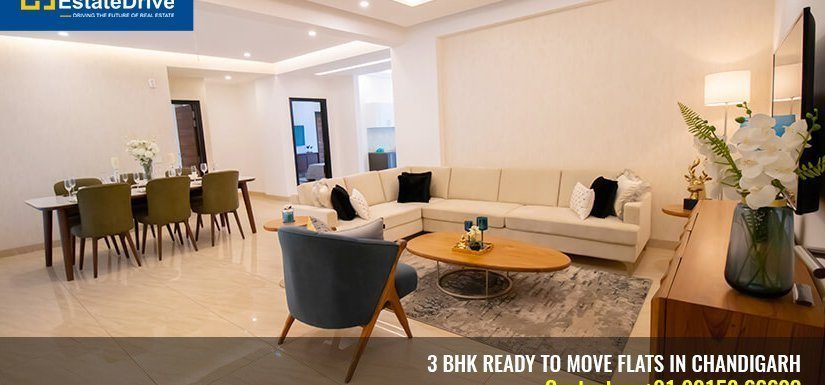 3 bhk ready to move flats in chandigarh Estatedrive