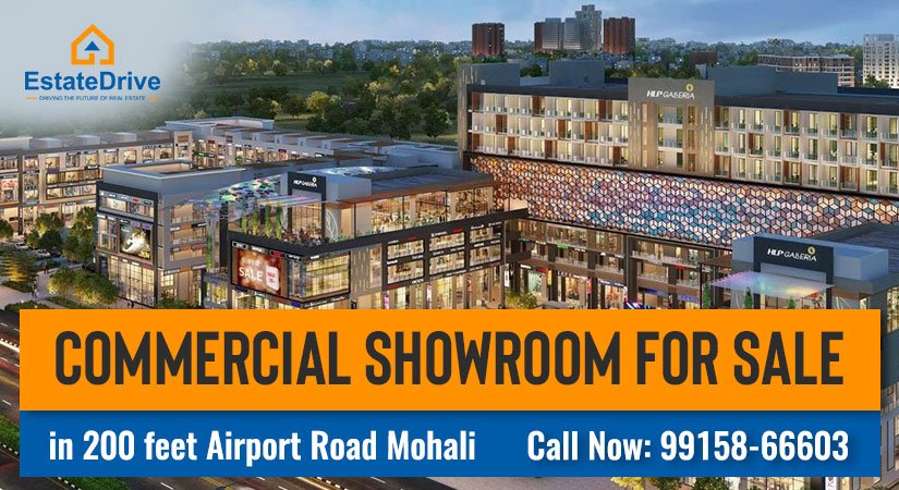 commercial showroom for sale in mohali