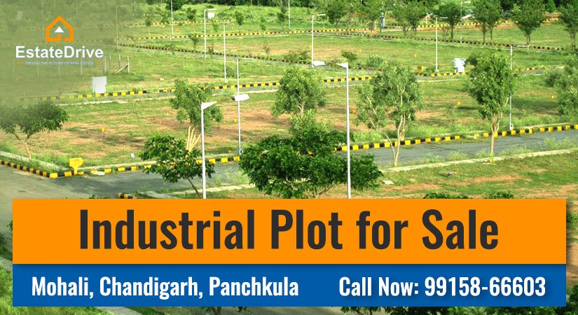 Industrial Plot for Sale