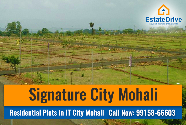 Signature City Mohali
