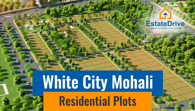 White City Mohali Sector 114 Residential