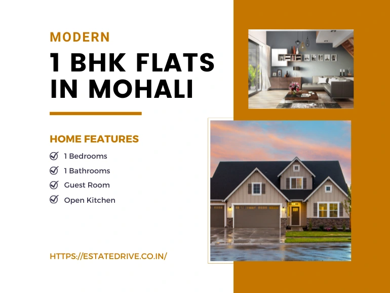 1 BHK Flats in Mohali