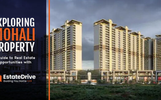 Mohali Property - Estate Drive