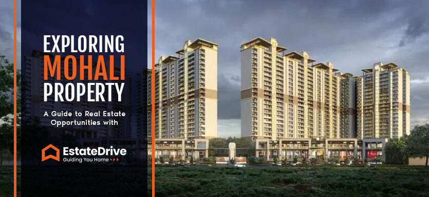 Mohali Property - Estate Drive